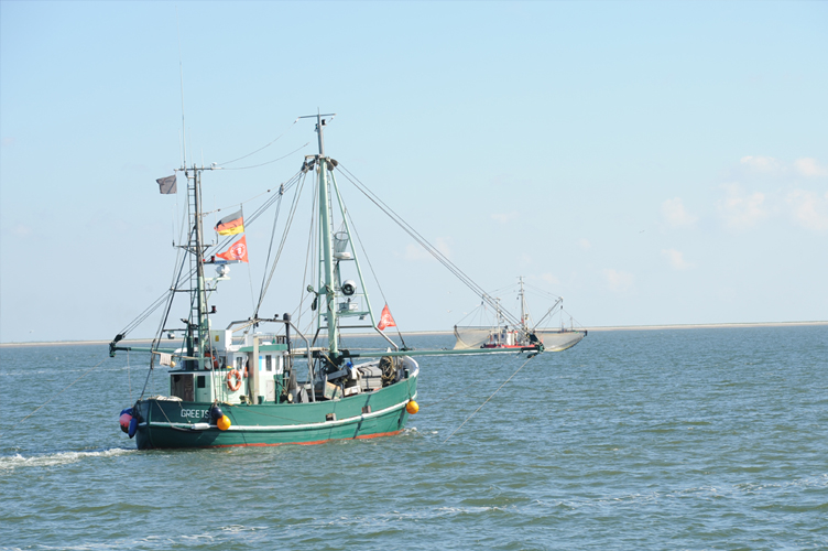 Greetsiel, Krummh&ouml;rn Ostfriesland